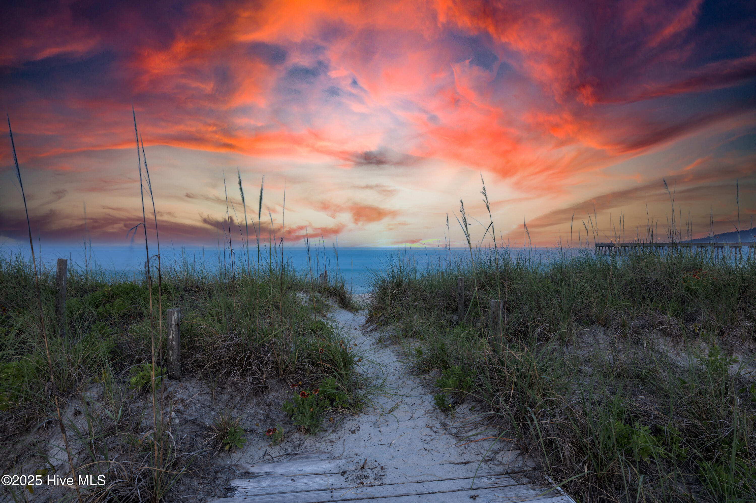 100515880 | Photo 39