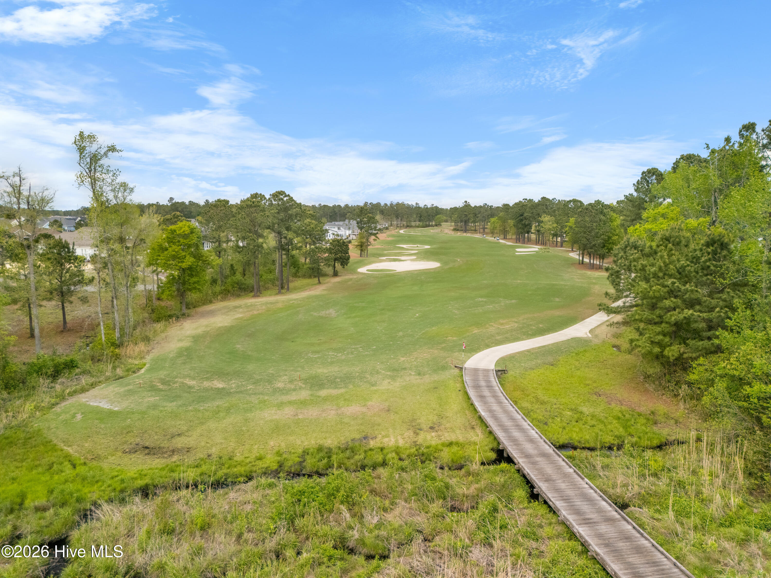 100565162 | Photo 96