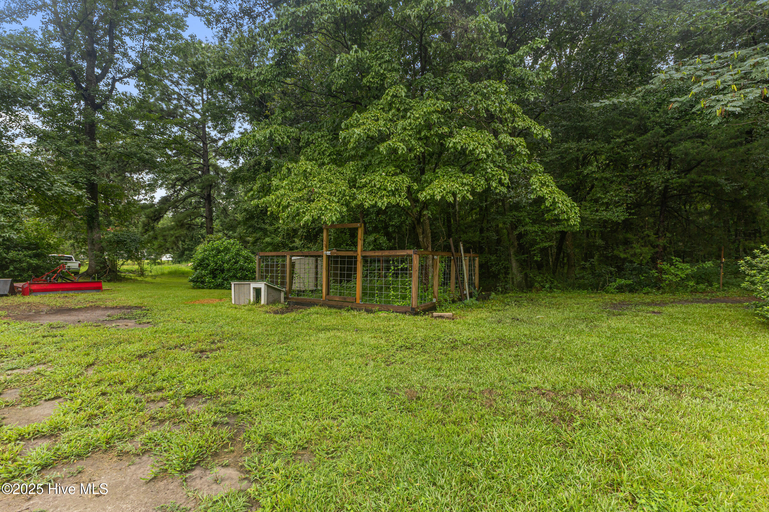 100524507 | Photo 33