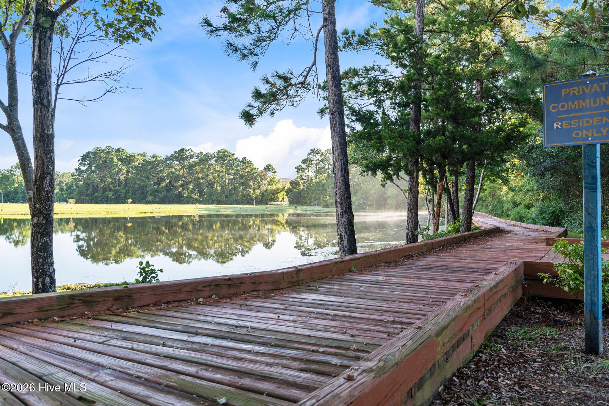 100558895 | Photo 71