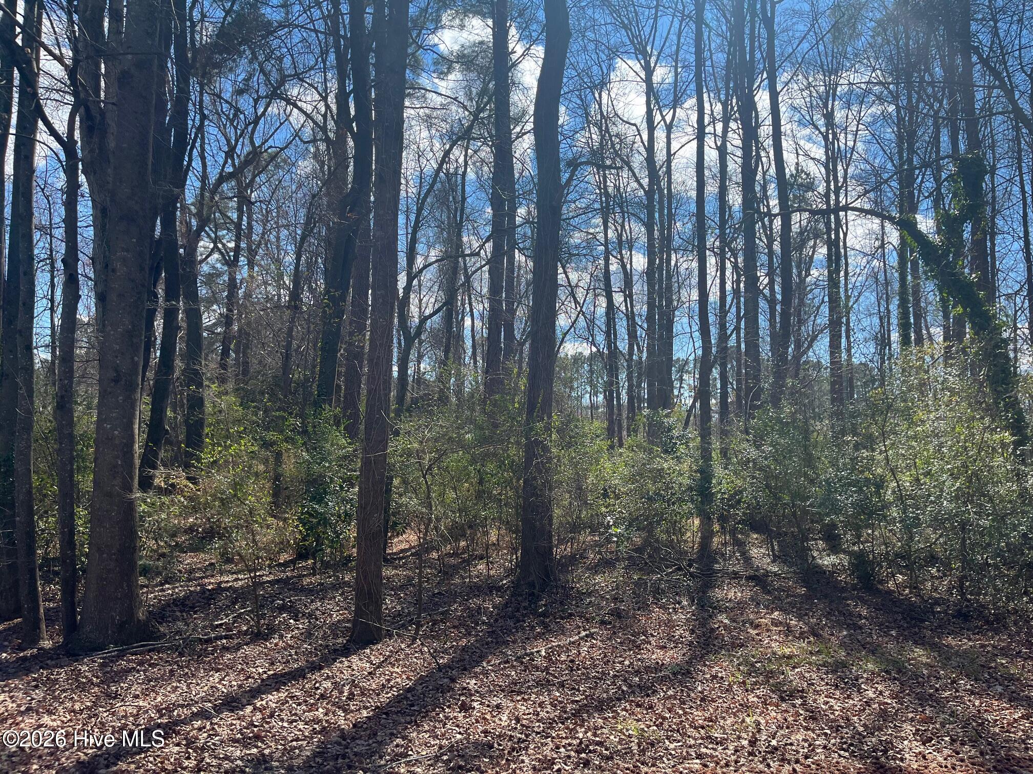 Homes for sale in Kinston, NC | 11 Brookwood Rd, Kinston, NC 28504 | MLS# 100556534