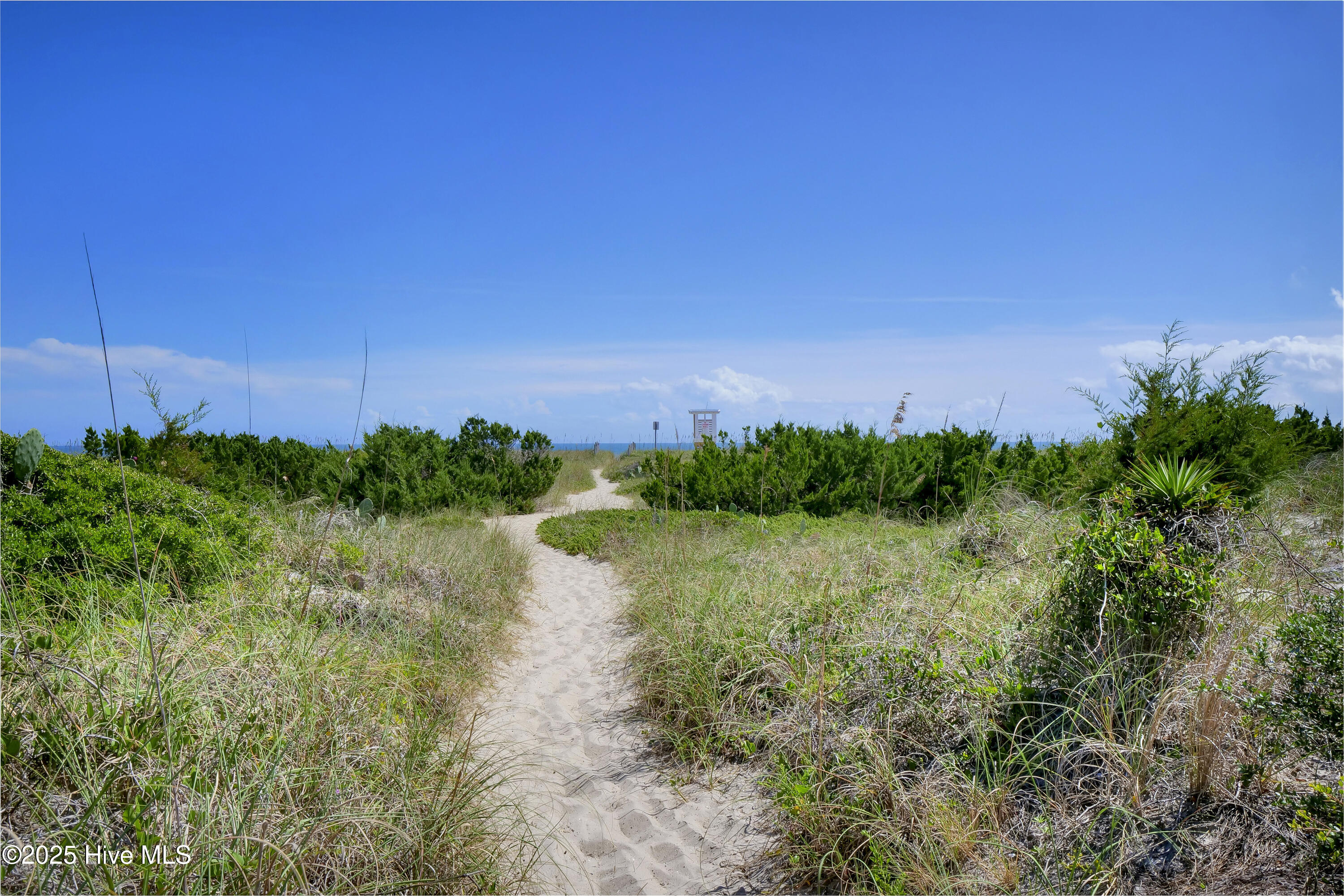 100525301 | Photo 70