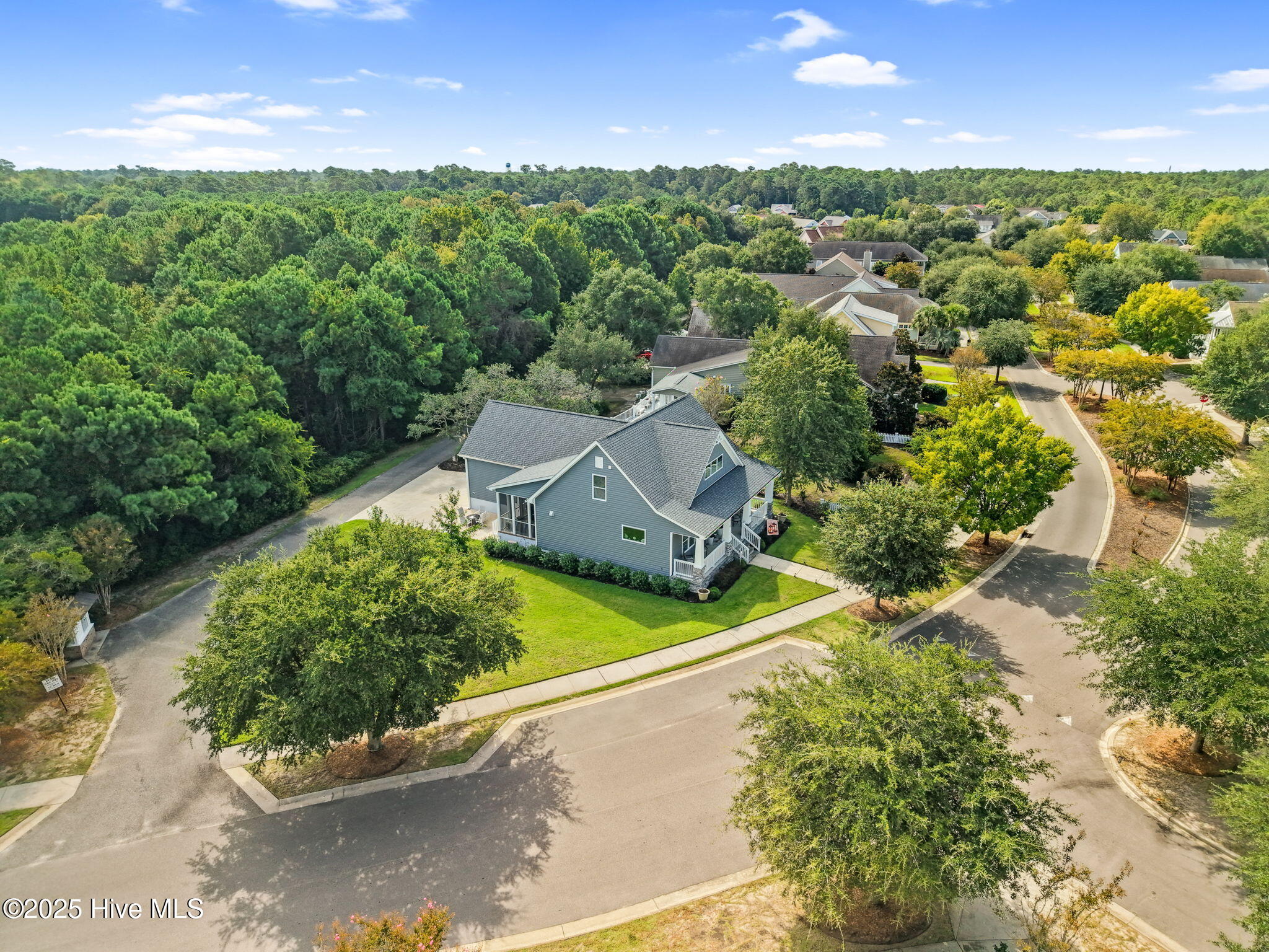 100530227 | Photo 10