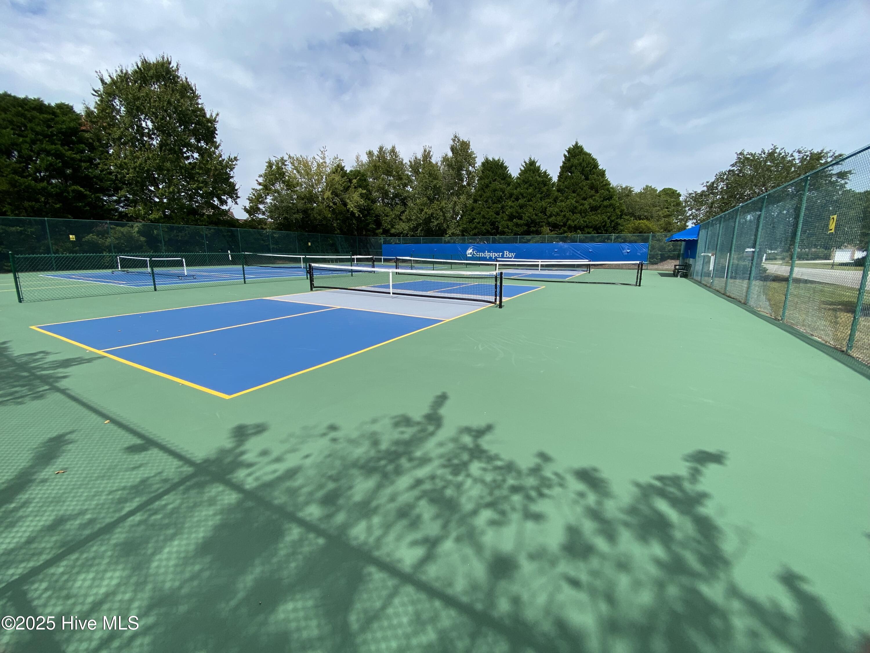 100539119 | Photo 64