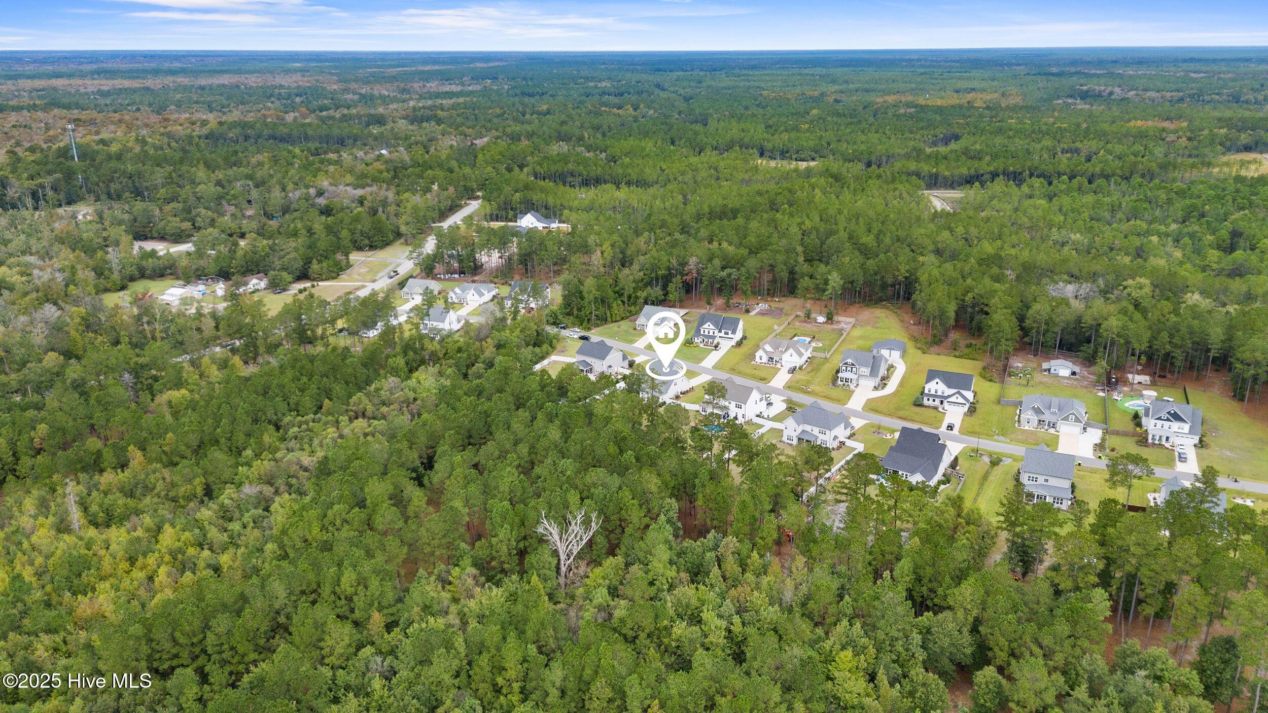 100536261 | Photo 69