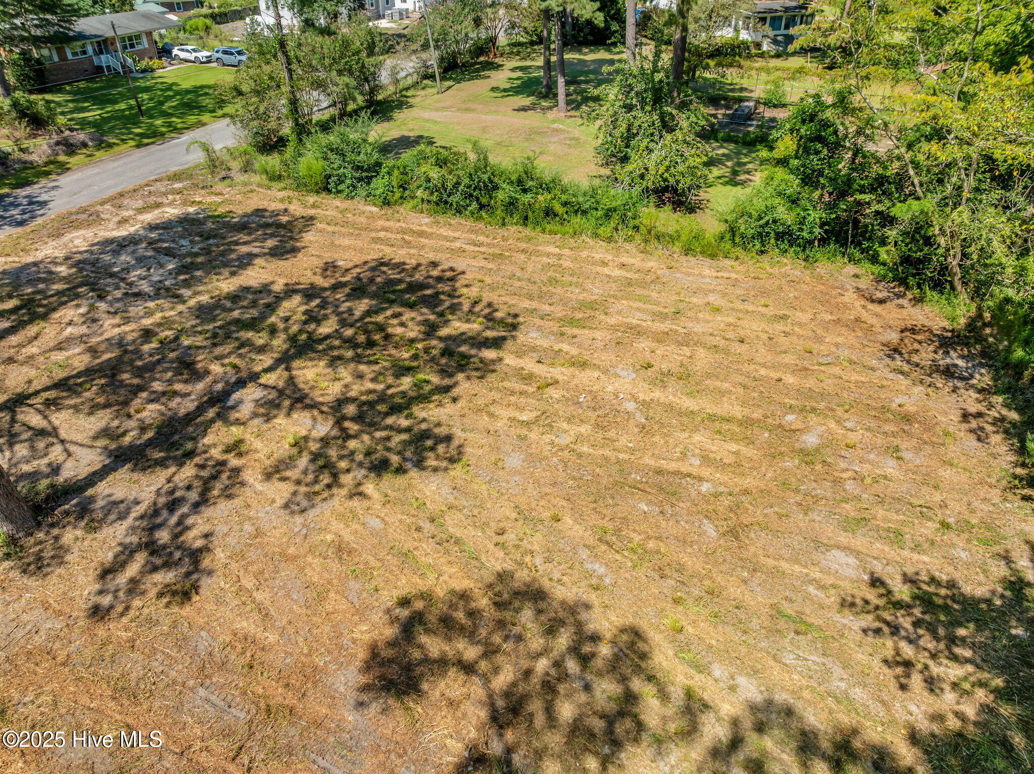 100546344 | Photo 10