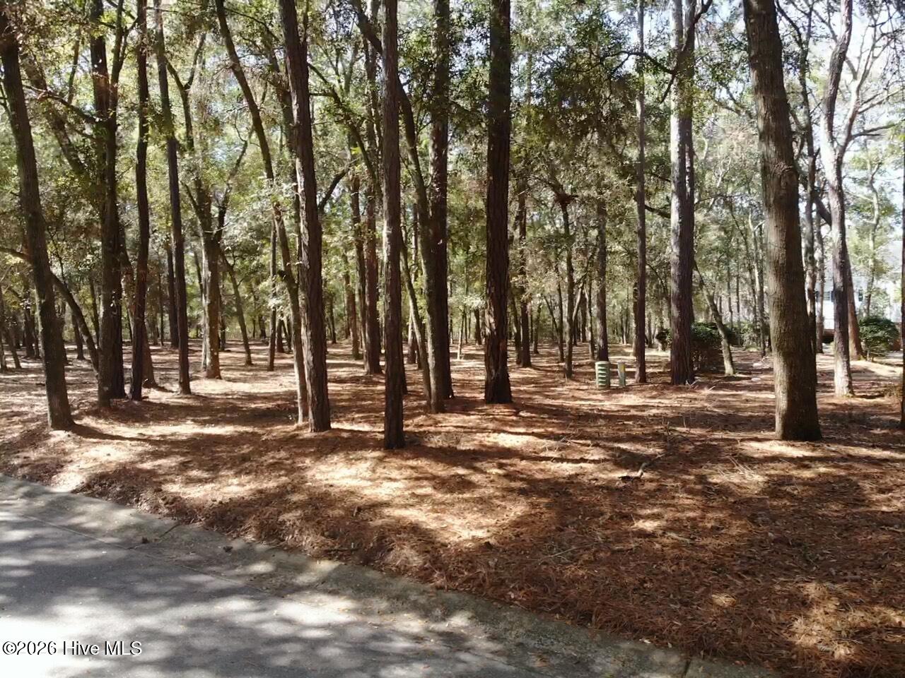 100559095 | Photo 10