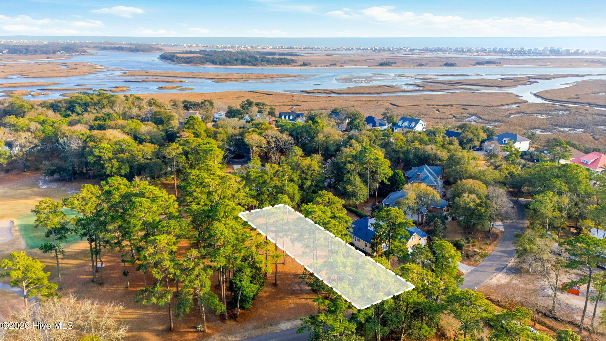 100556914 | Photo 13