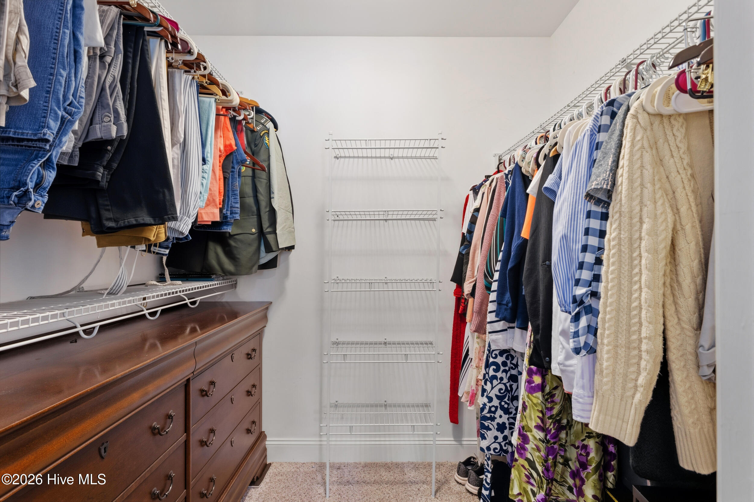 100569196 | Photo 24