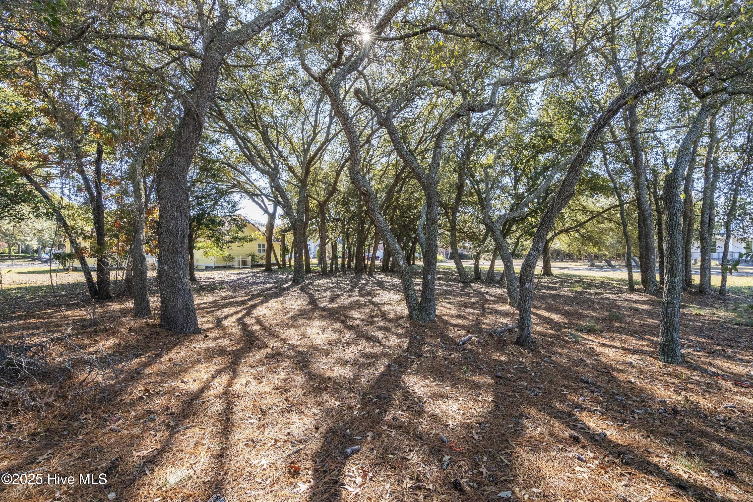 100545333 | Photo 13