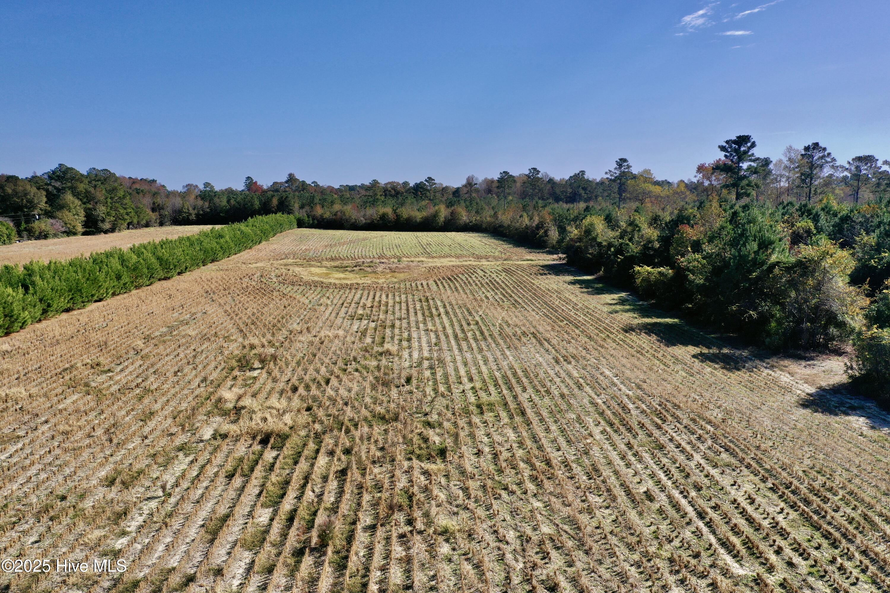 100541845 | Photo 22