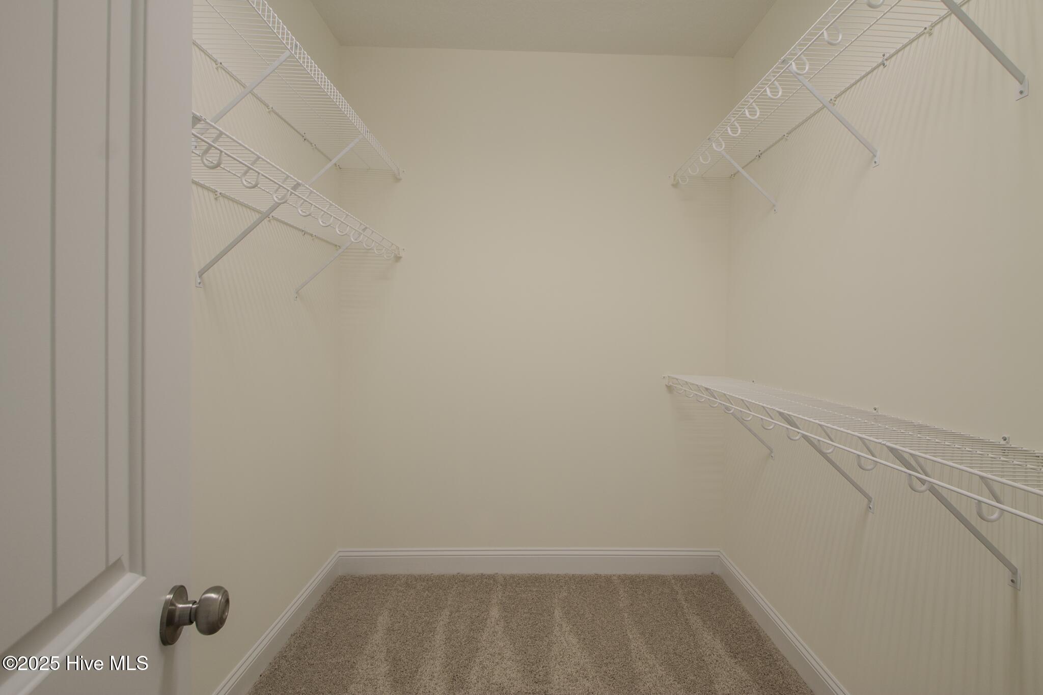 100499578 | Photo 16