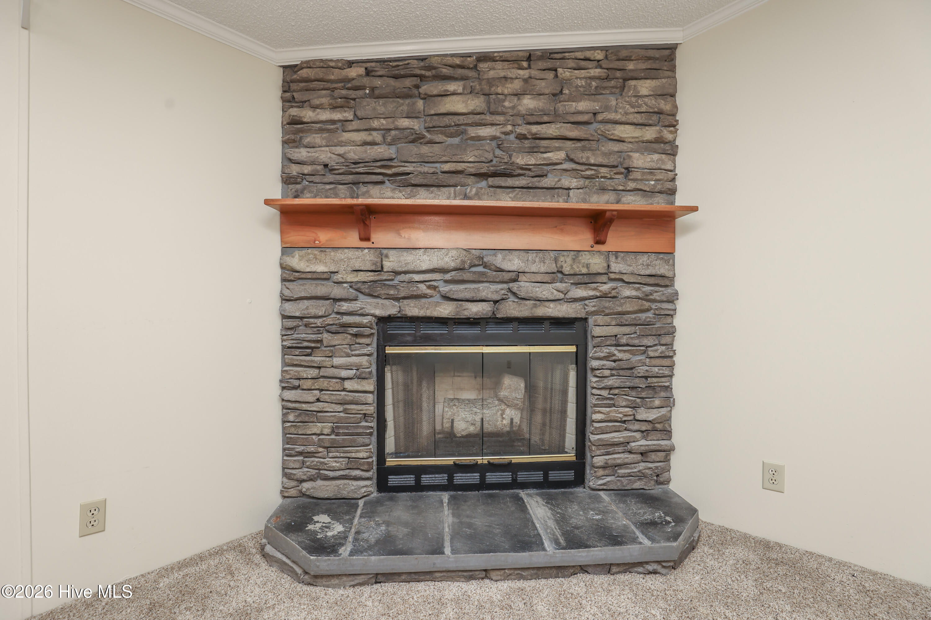 100548874 | Photo 22