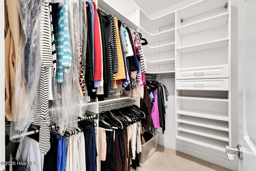 100558721 | Photo 26