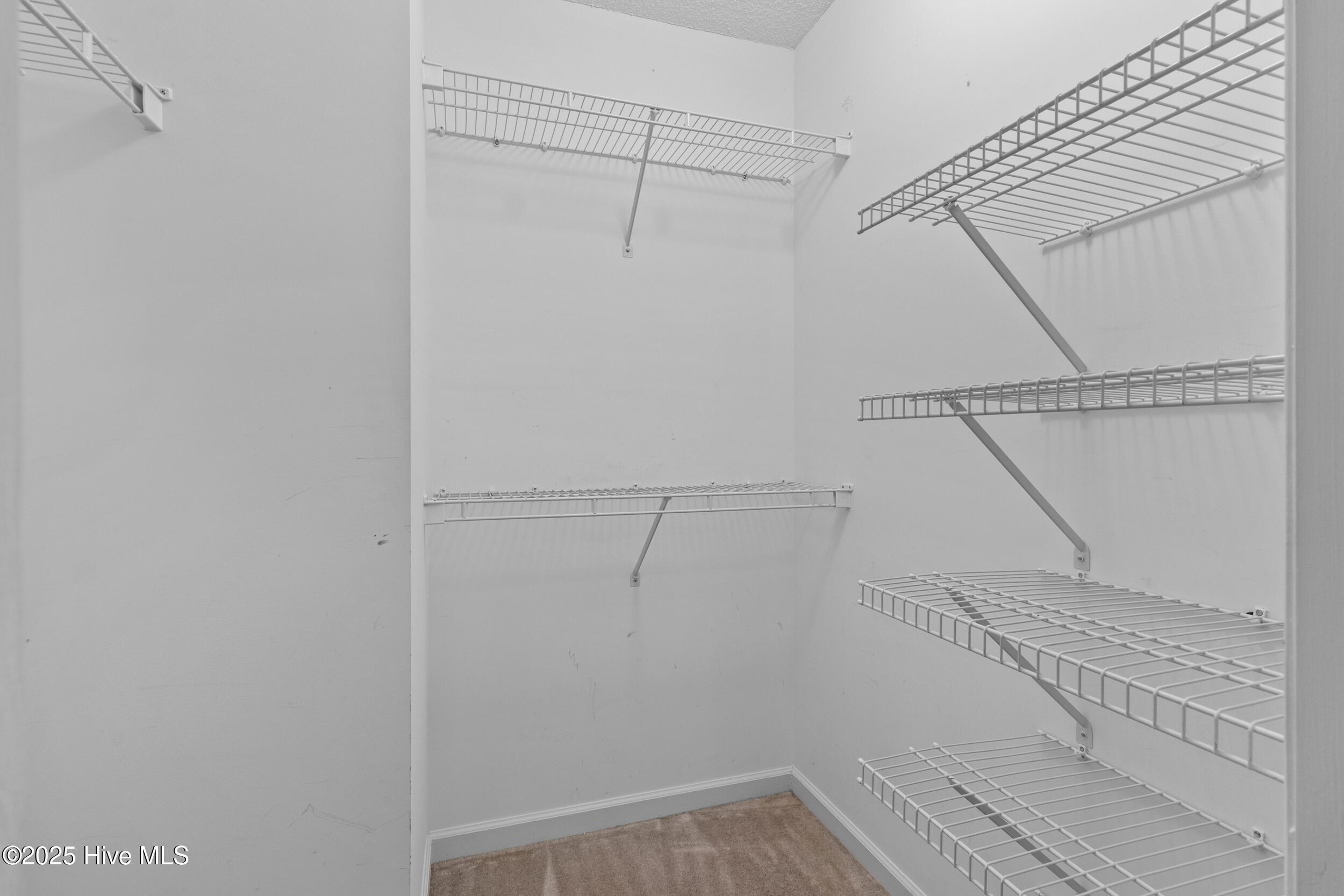 100528795 | Photo 18