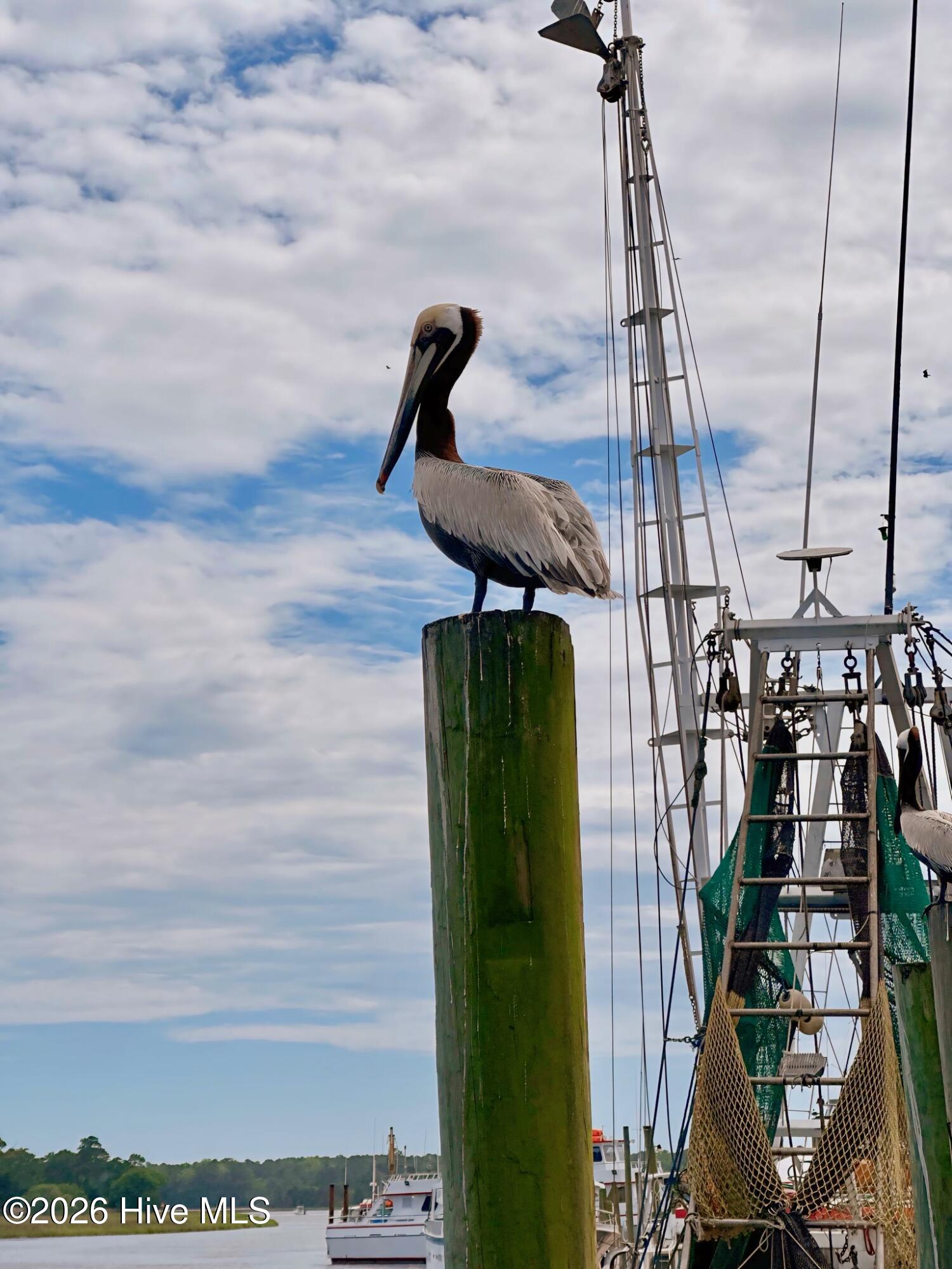 100566232 | Photo 24