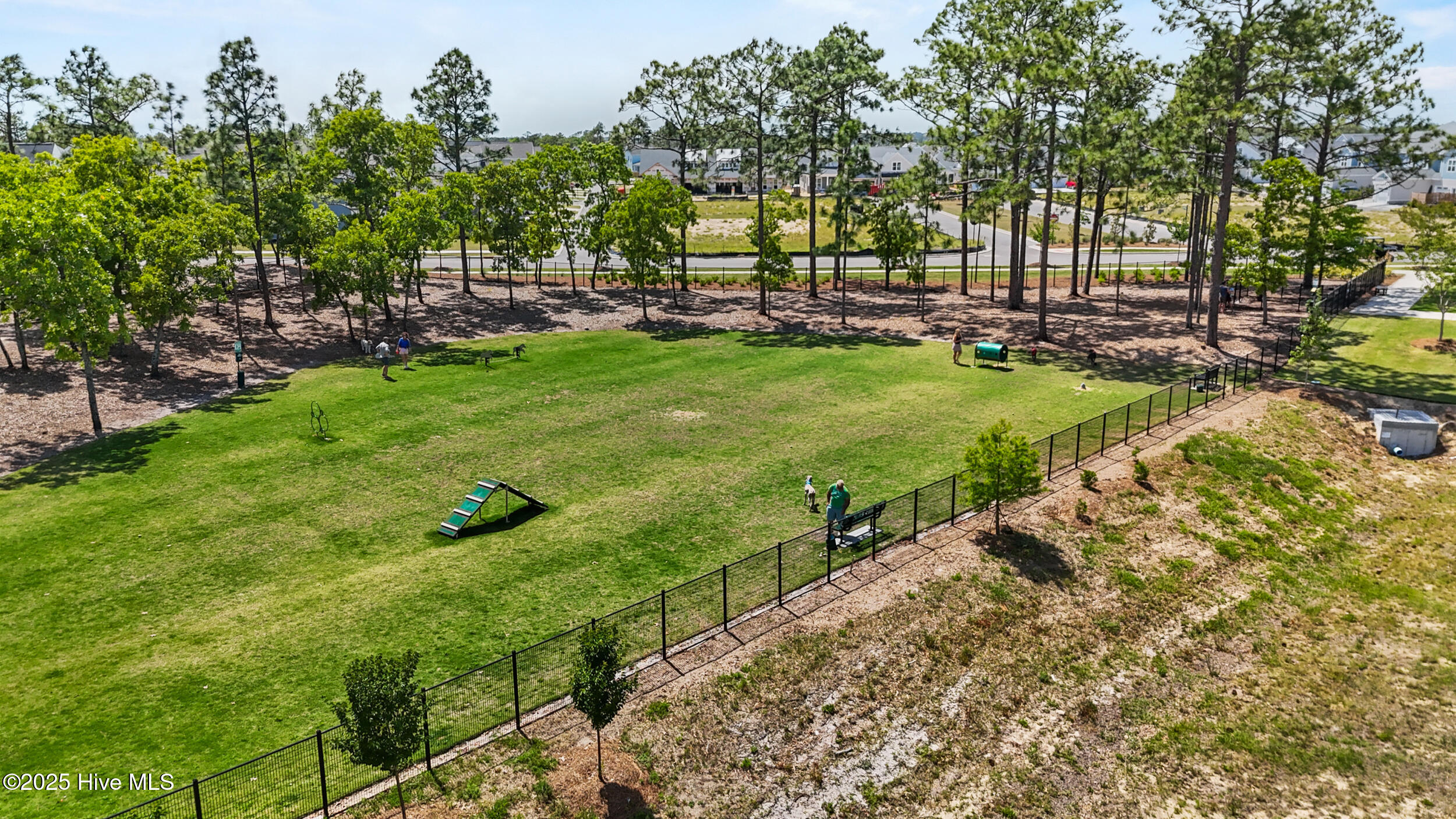 100525242 | Photo 67