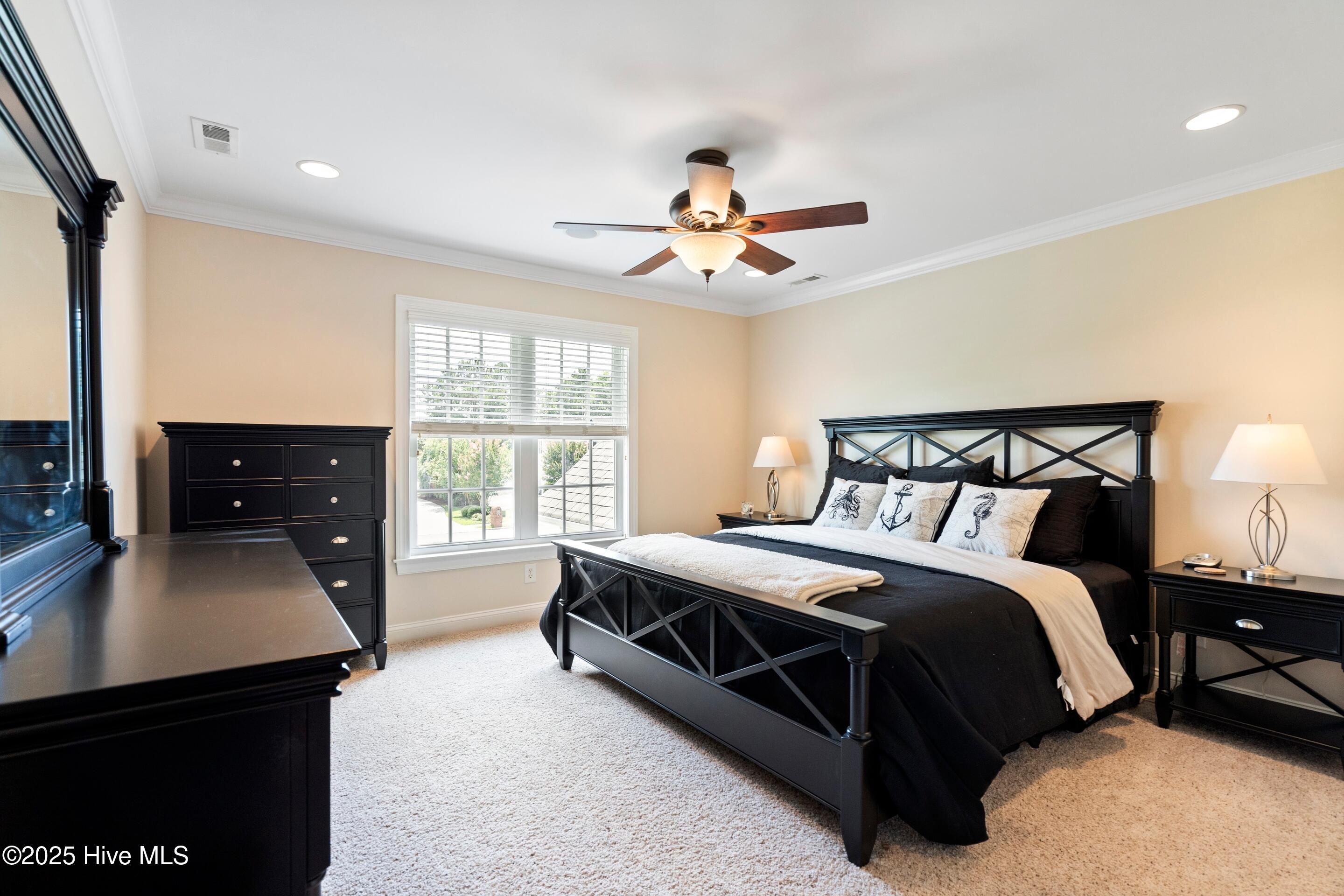 100518438 | Photo 43