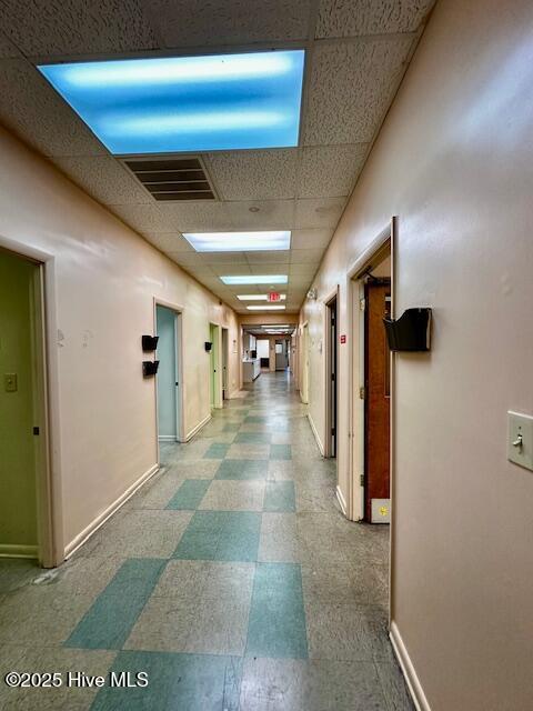 100533527 | Photo 35