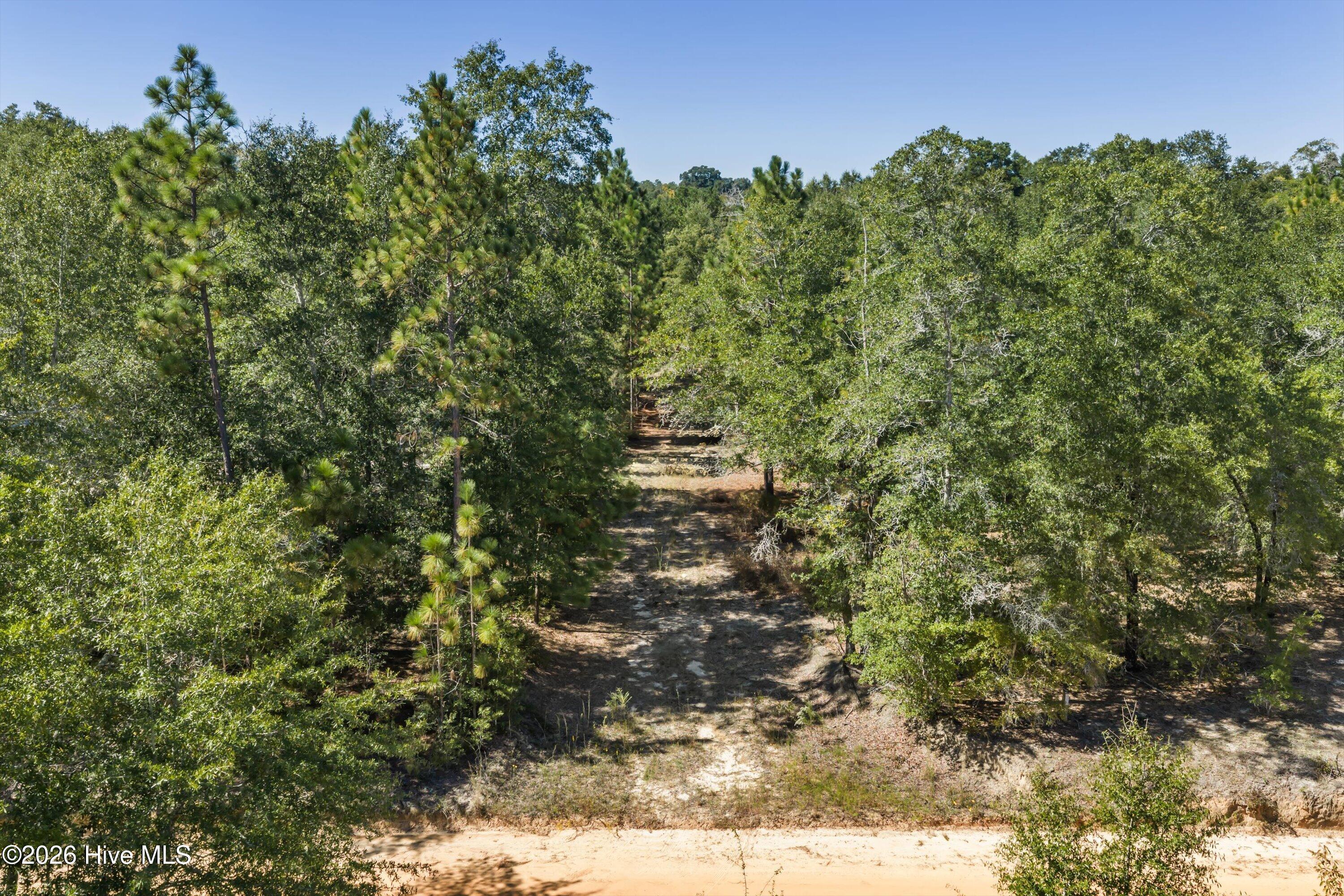 Photo 3 of Land for sale at 0000 Mary Rawls Rd, Wagener, SC 29164 | MLS# 100609229 | Listing updated on 2026-10-09