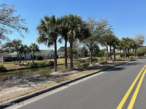 100539941 | Photo 33