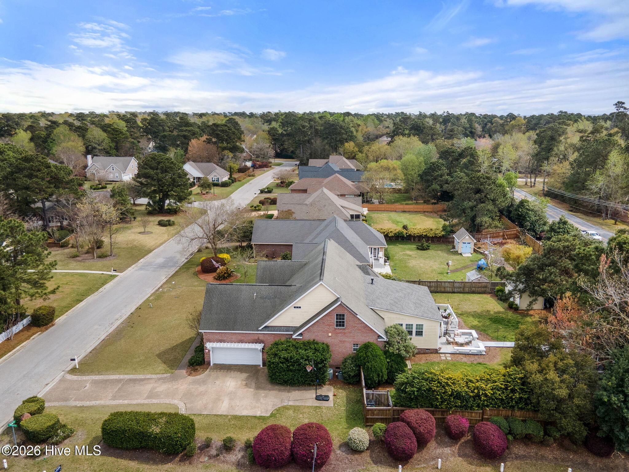 100561515 | Photo 117