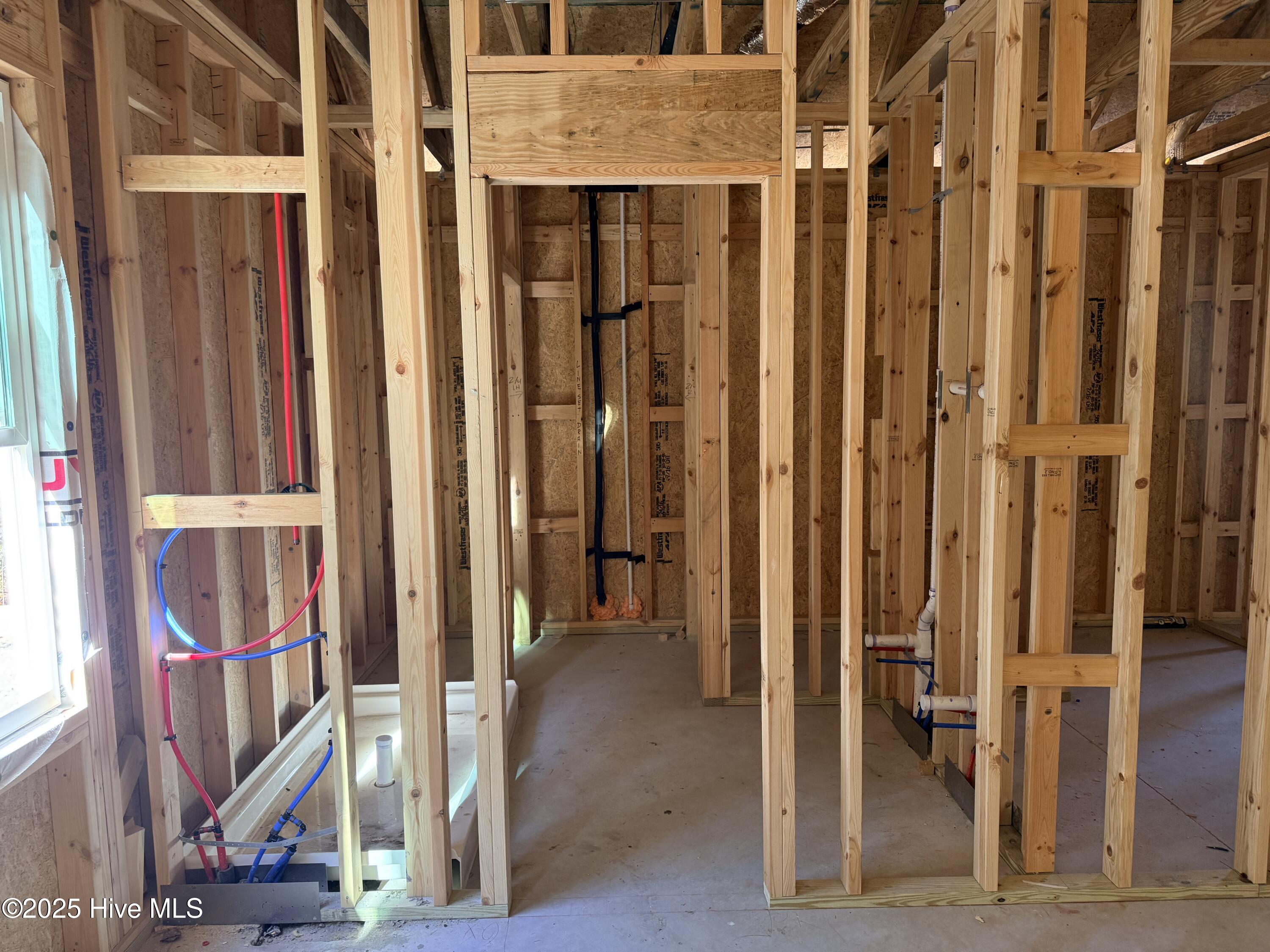 100546947 | Photo 10