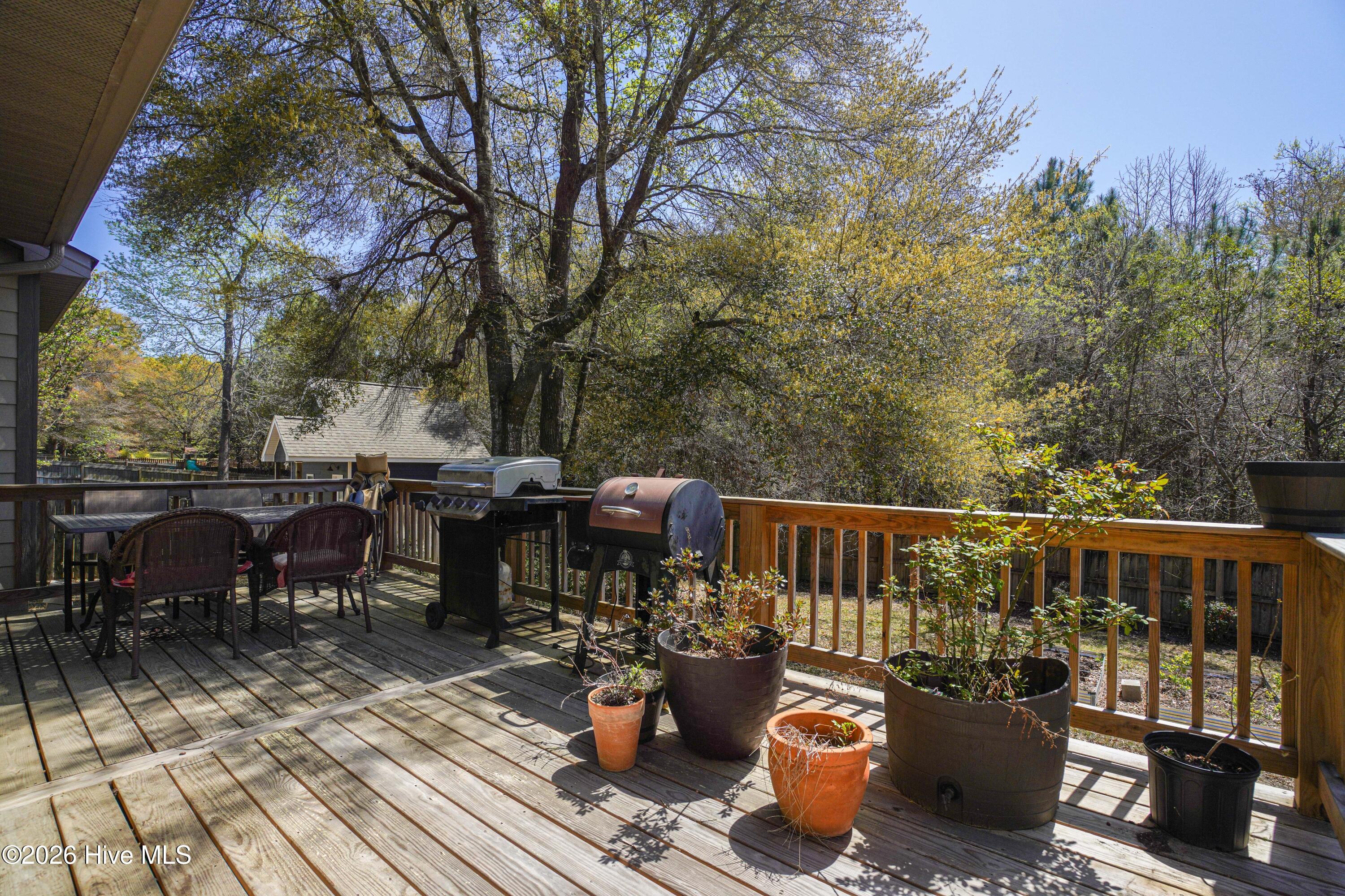 100564087 | Photo 10