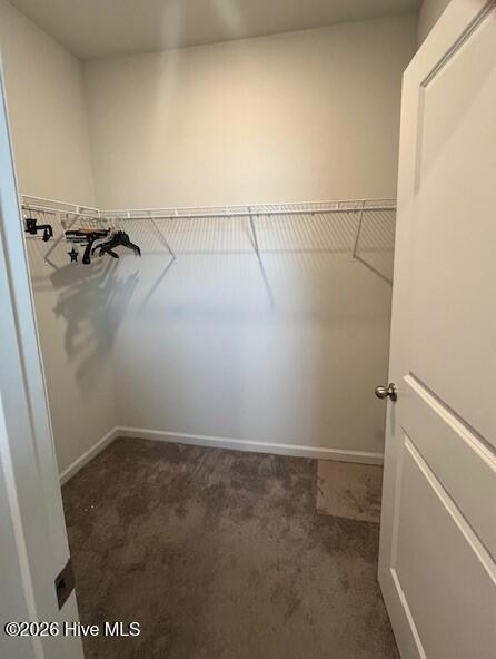 100548379 | Photo 28