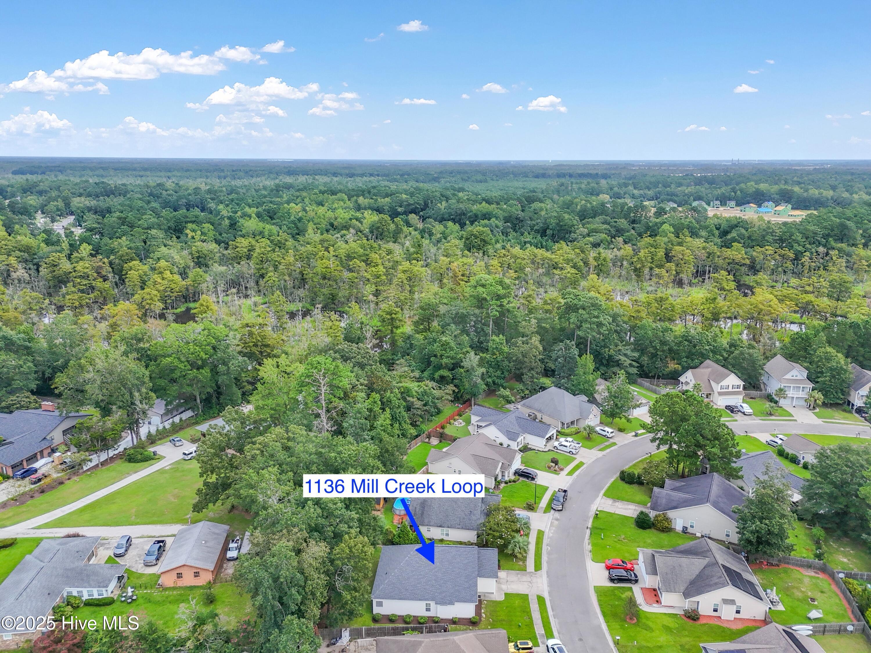 100527568 | Photo 39