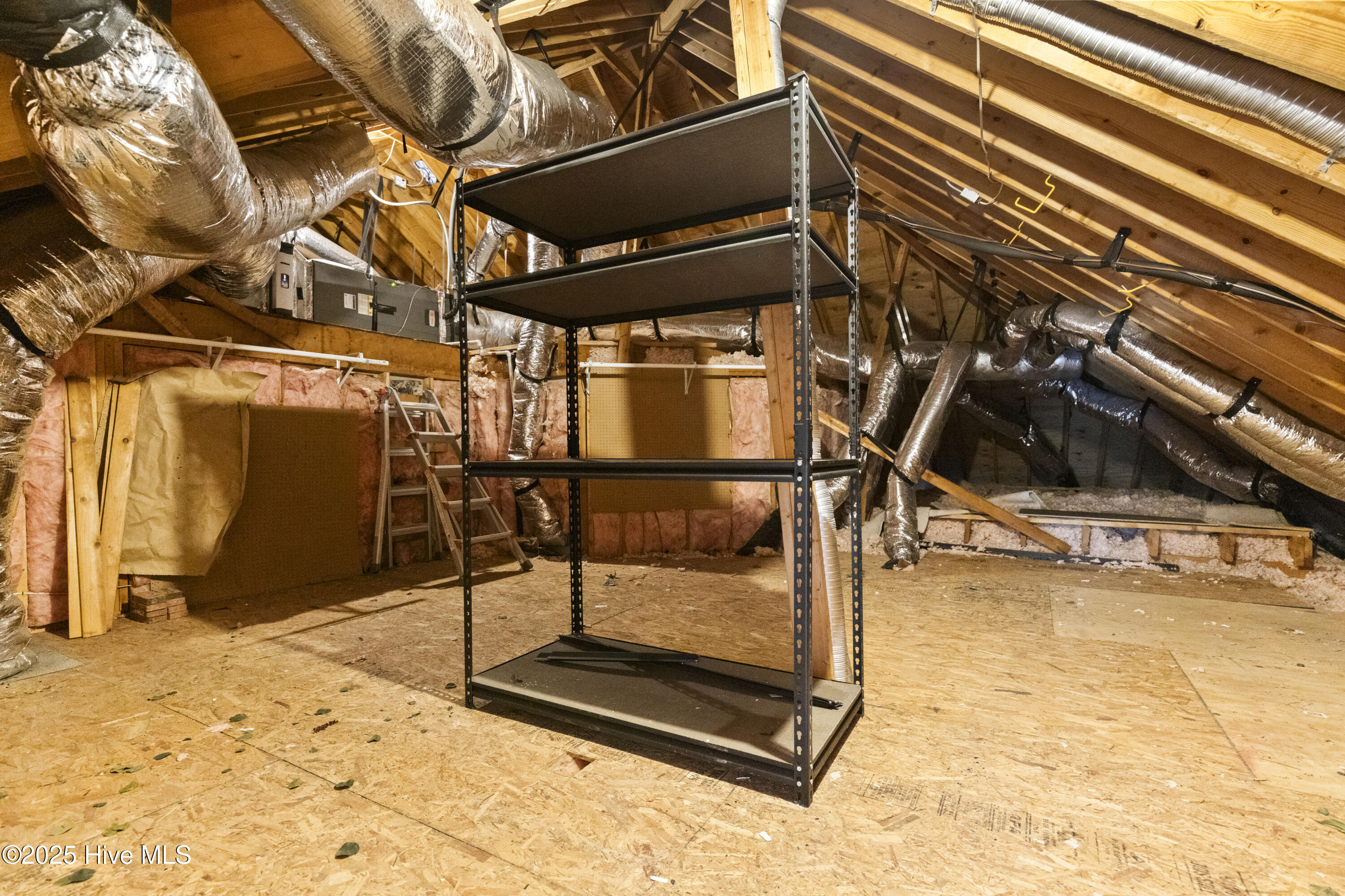 100539771 | Photo 61