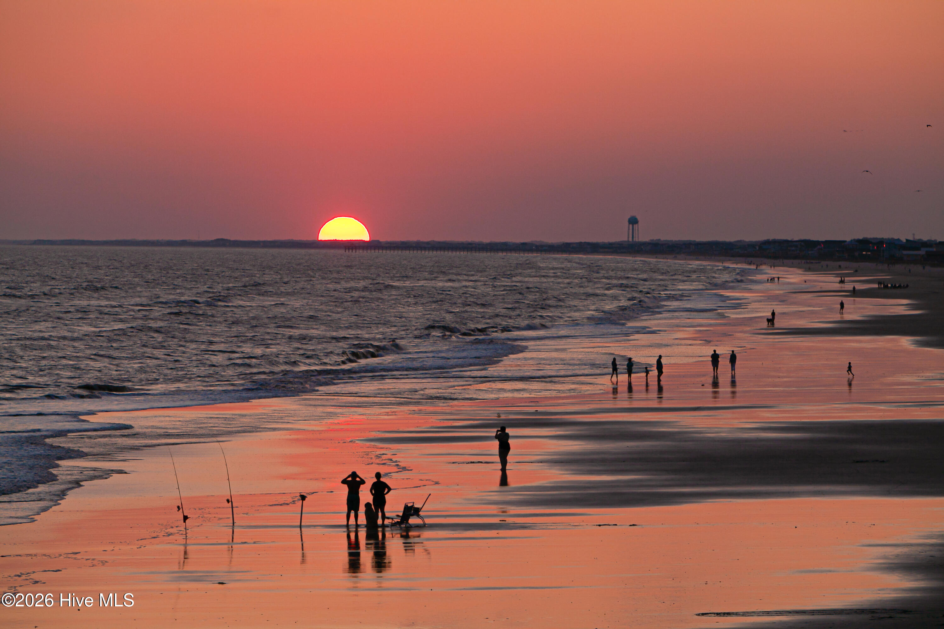 100561185 | Photo 99