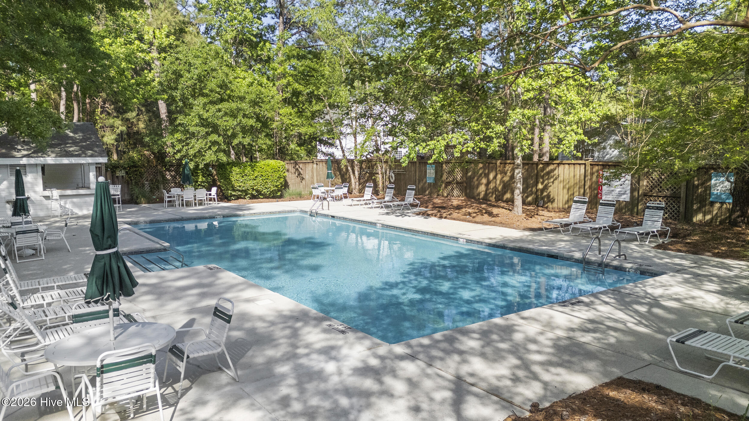 100567913 | Photo 48