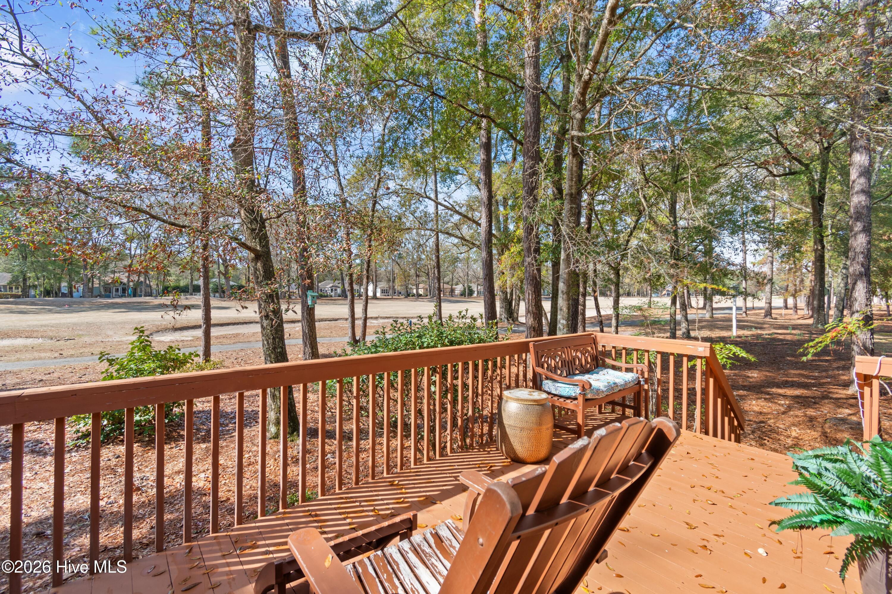 100558651 | Photo 46