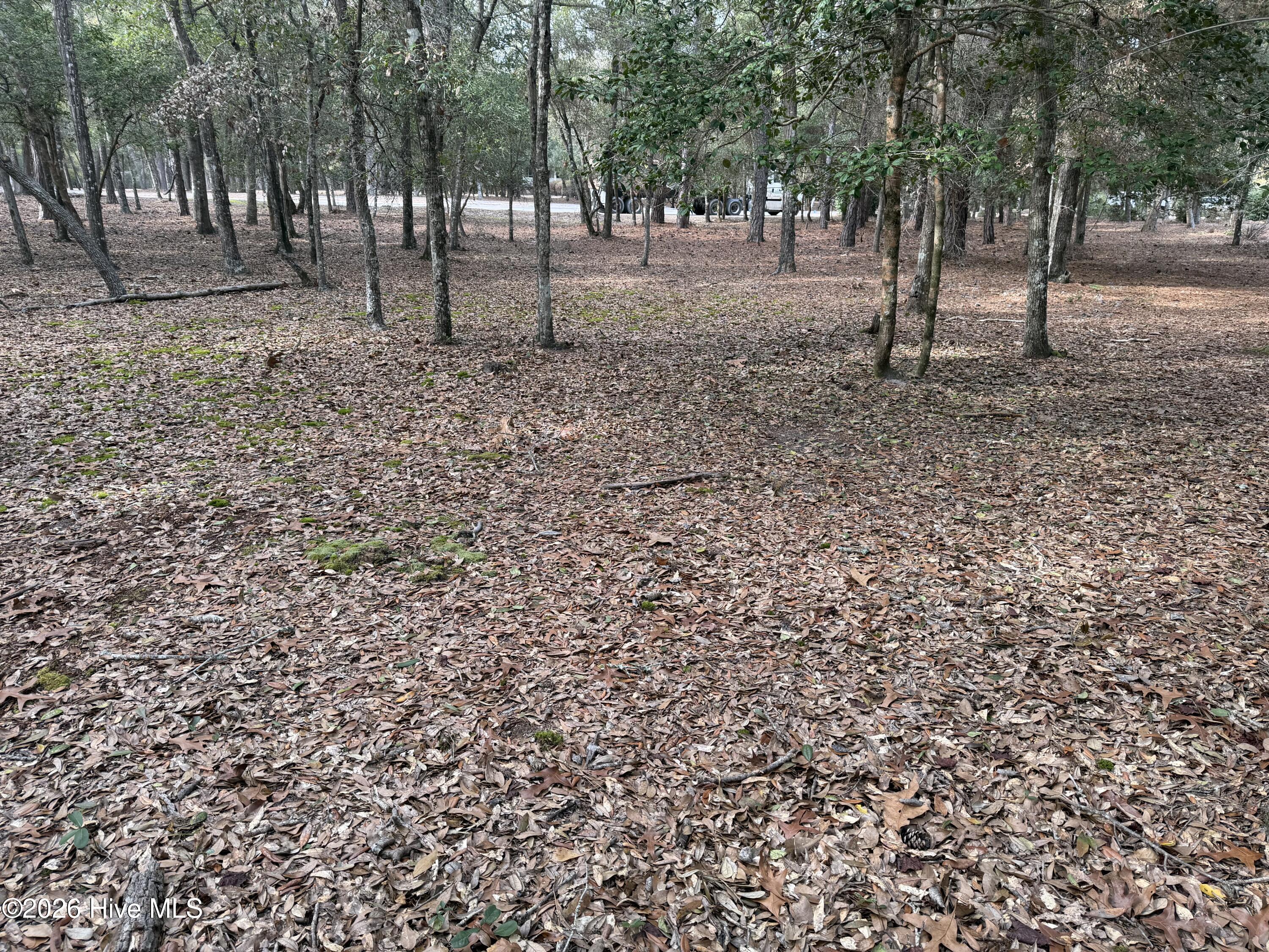 100557088 | Photo 14