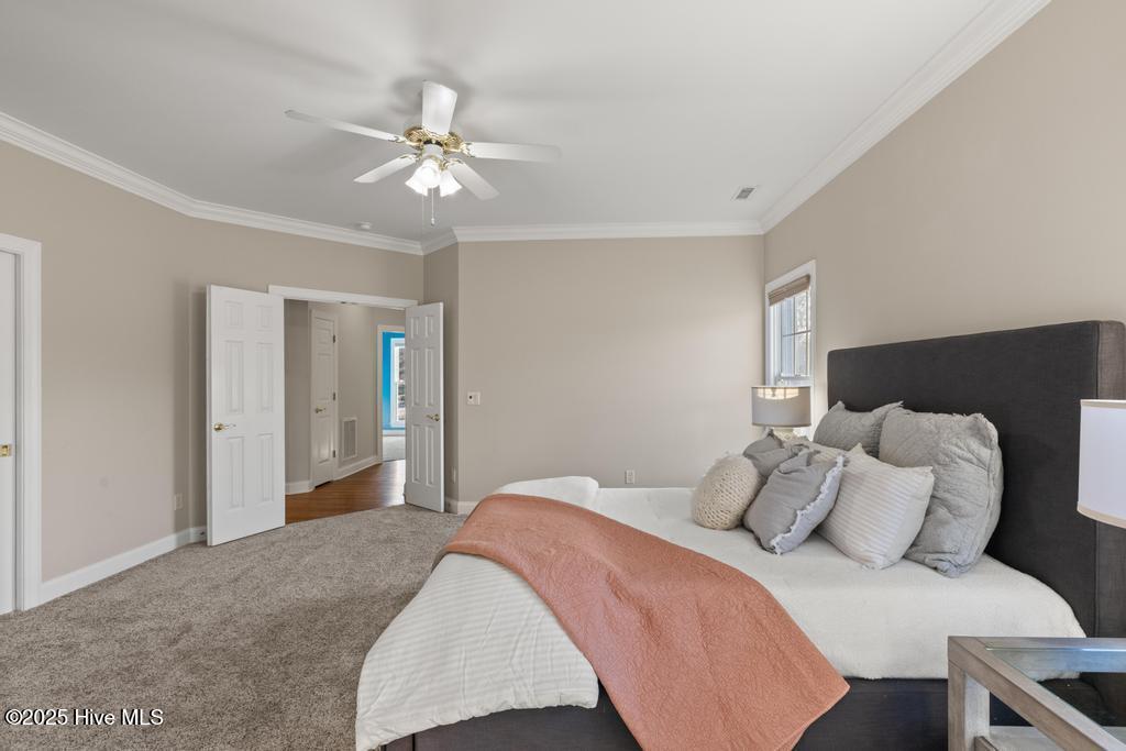 100516339 | Photo 38