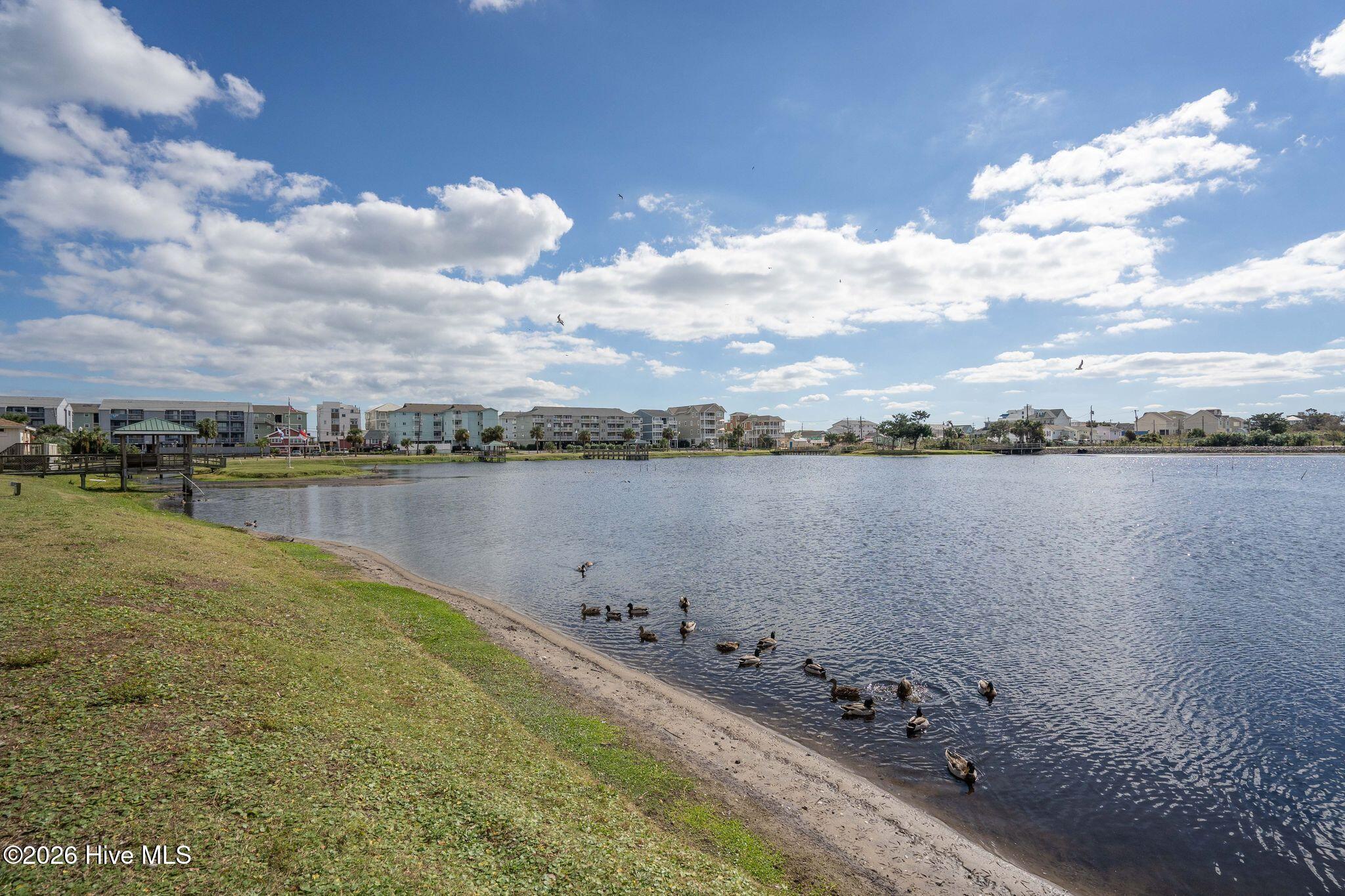 100570540 | Photo 95