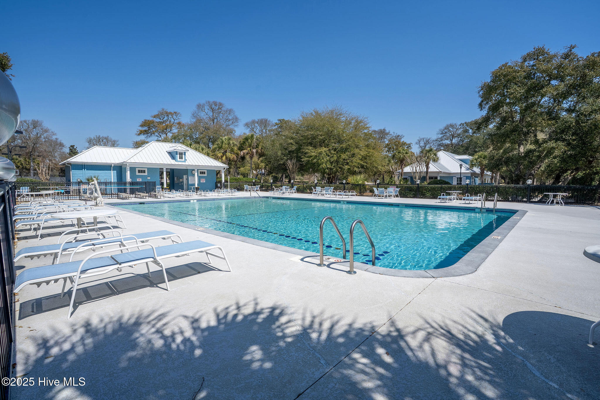 100488997 | Photo 108