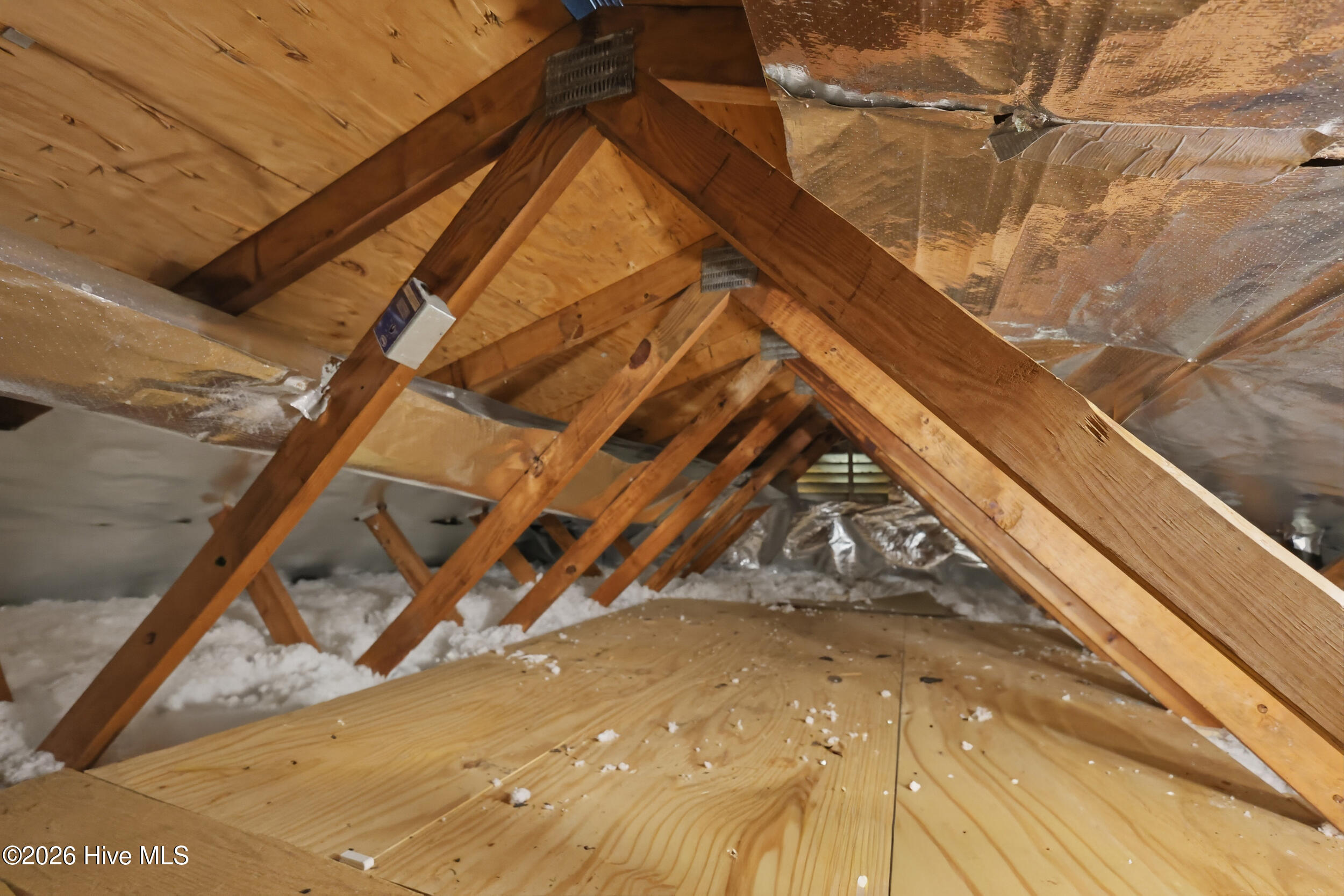 100567633 | Photo 31