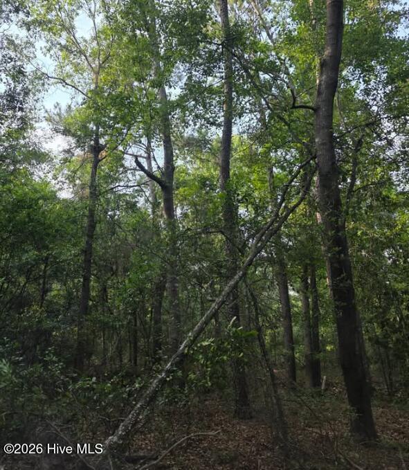 5th image of 15A Woodberry Ln, North Augusta, SC 29841 | MLS# 100591088