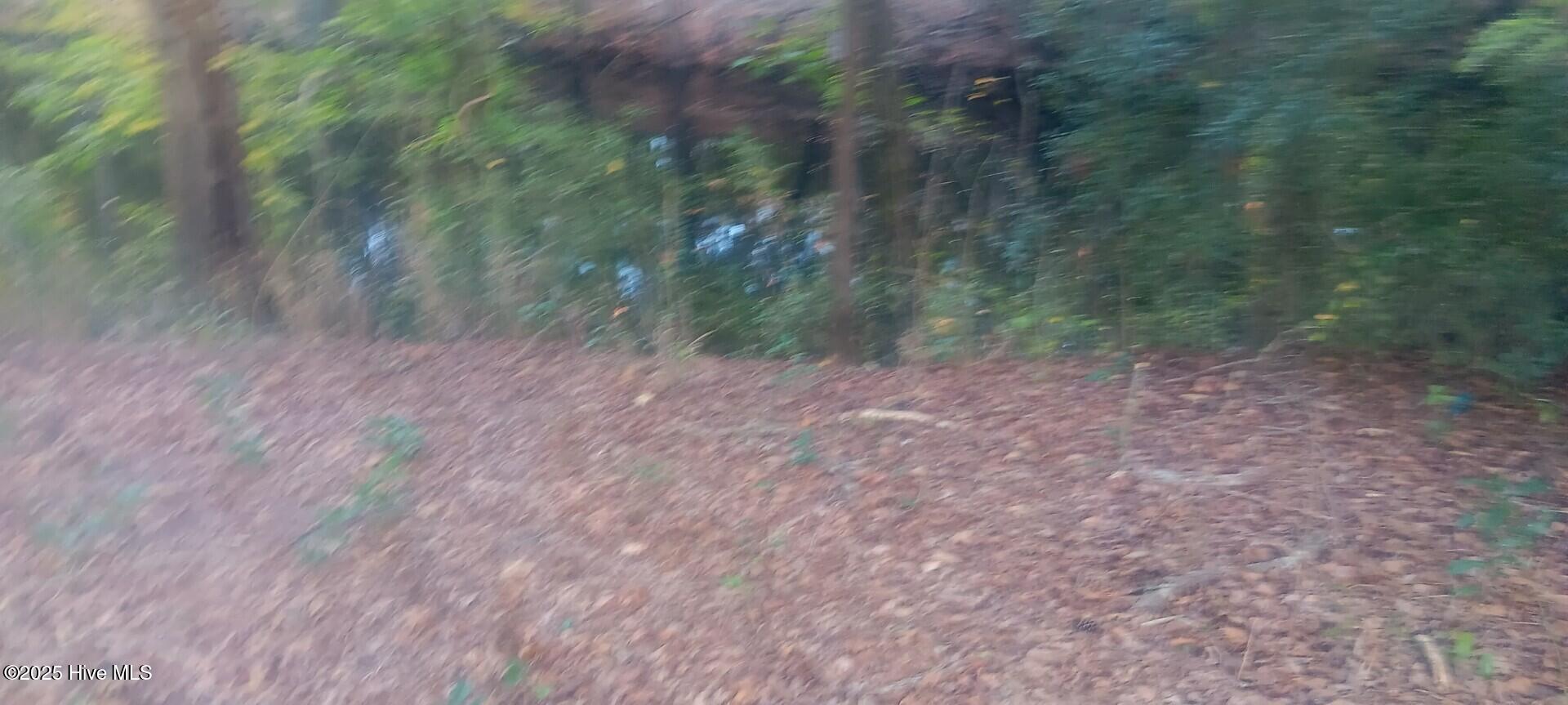 Homes for sale in Burgaw, NC | 0 Hwy 53, Burgaw, NC 28425 | MLS# 100537472