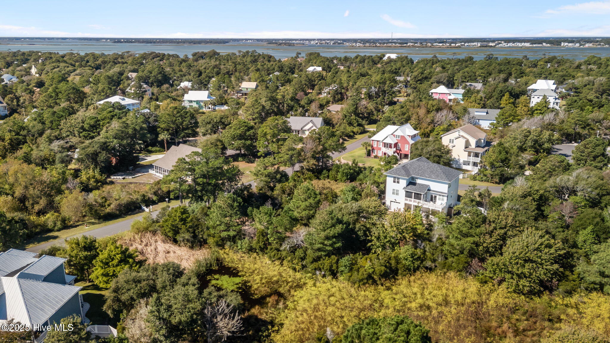 100538009 | Photo 11