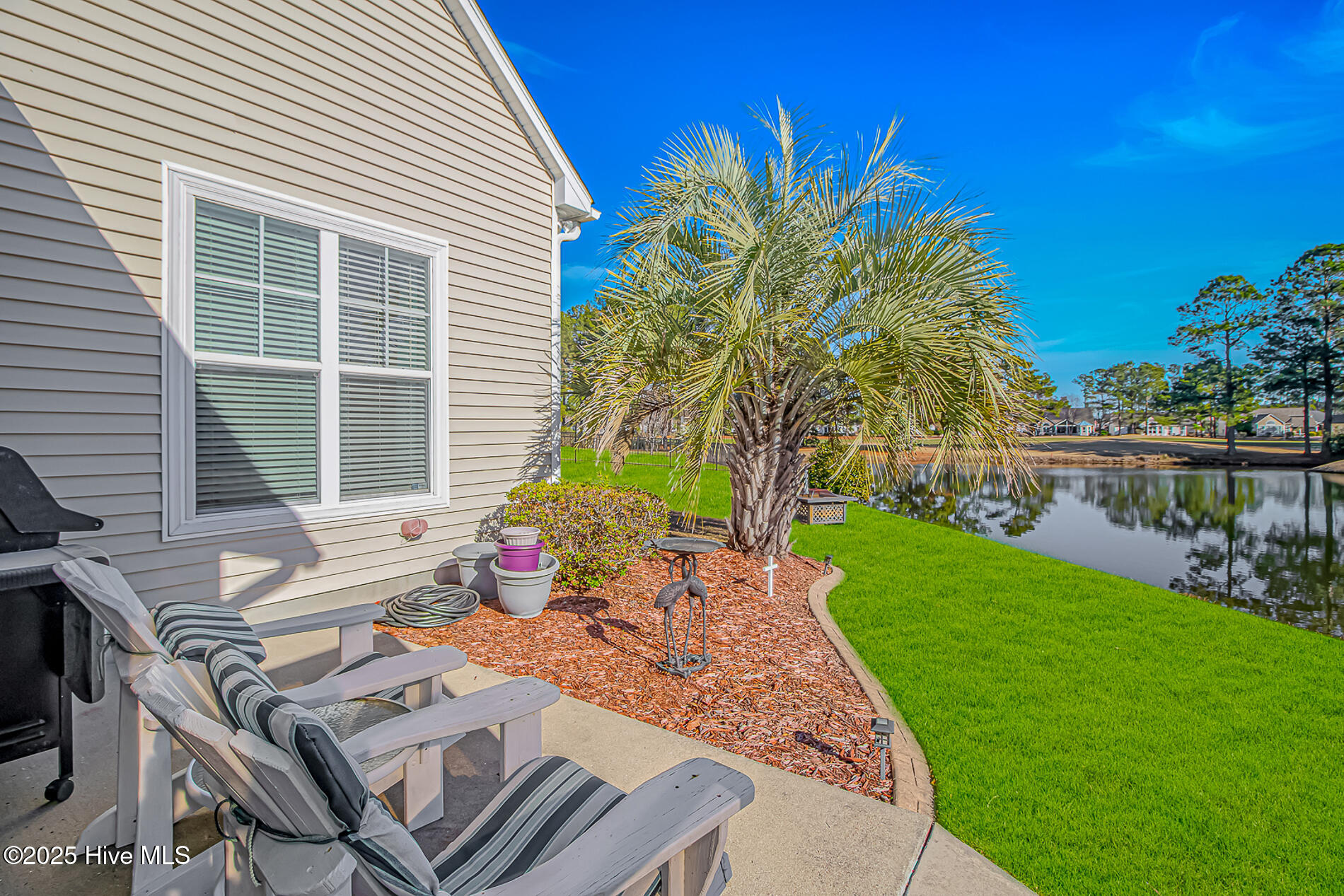 100545861 | Photo 34