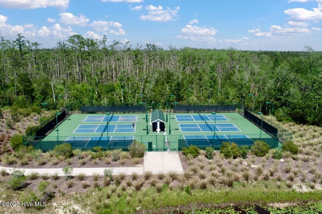 100538453 | Photo 47