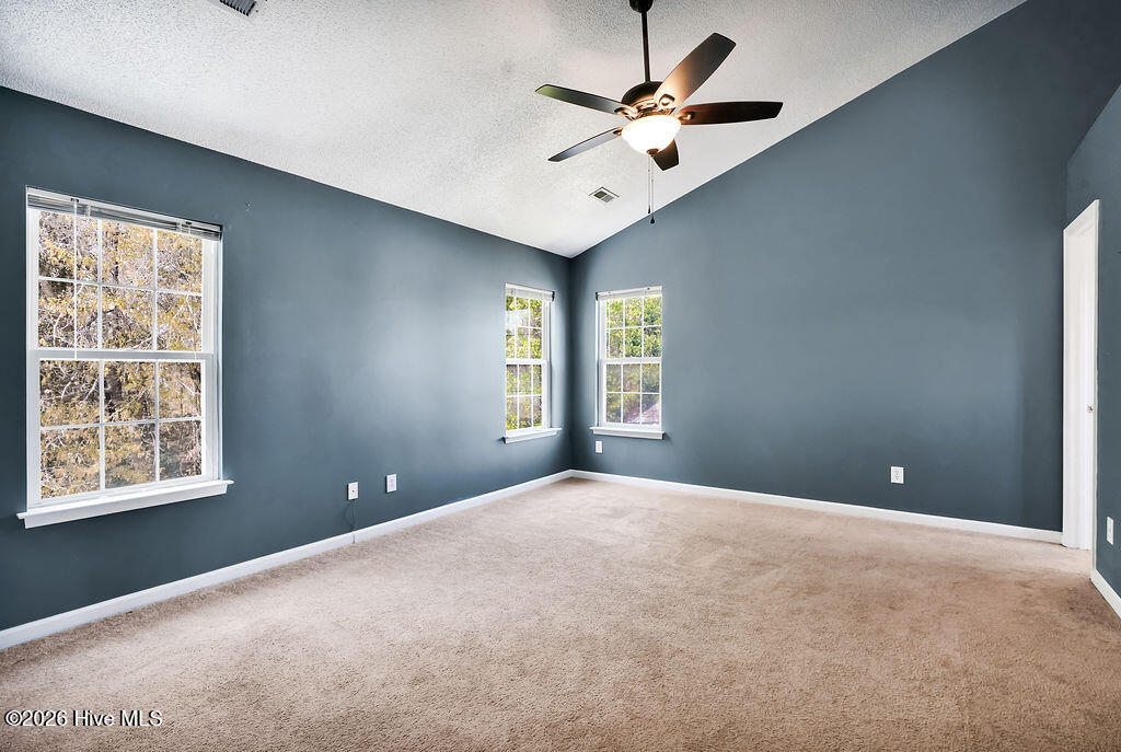 100563606 | Photo 25