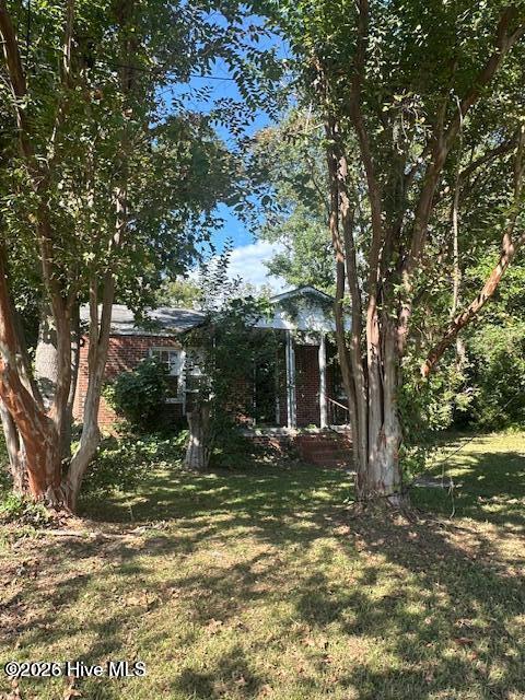 100569709 | Photo 18