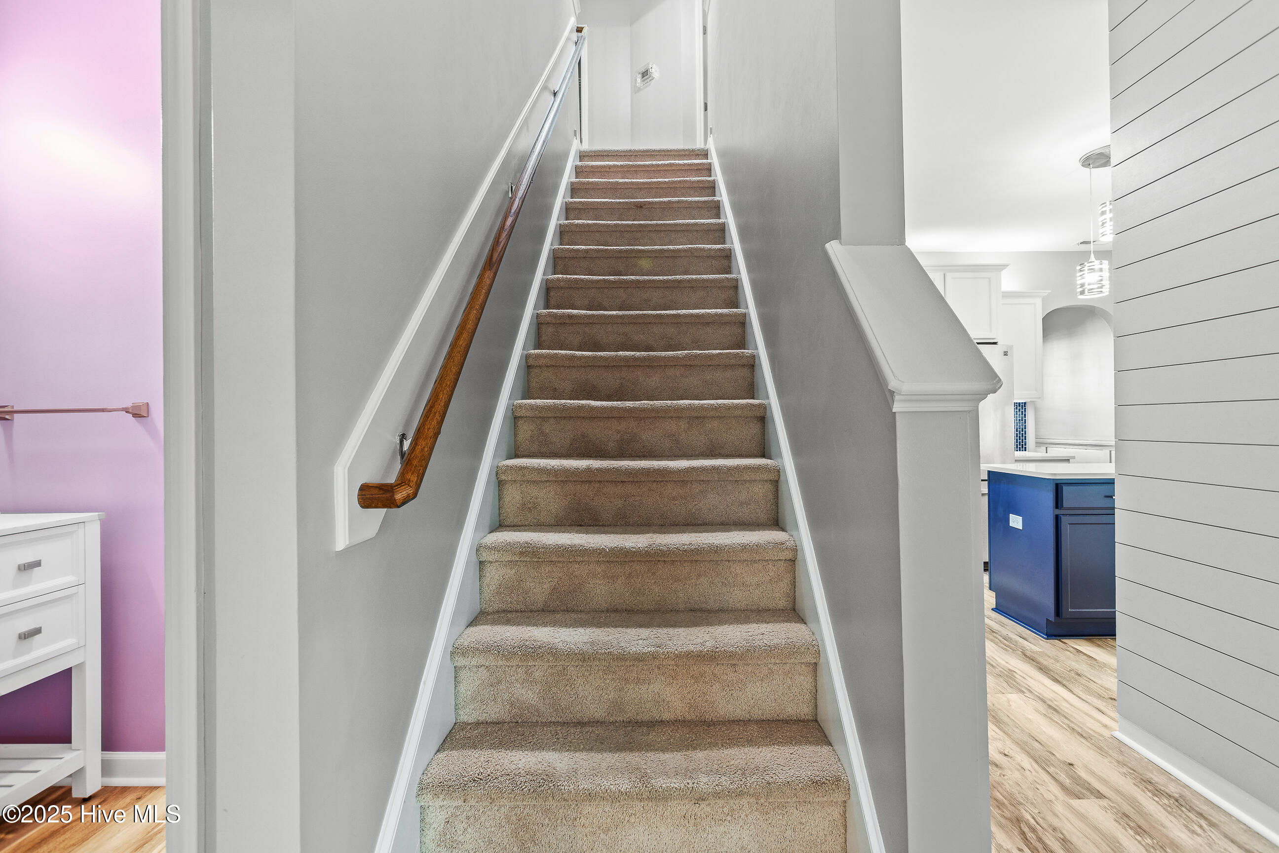 100541527 | Photo 26