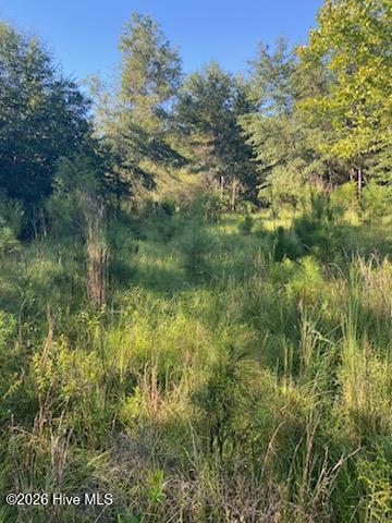 Photo 3 of Land for sale at 1071 W 4 Points Rd, Keysville, GA 30816 | MLS# 100610012 | Listing updated on 2026-10-13
