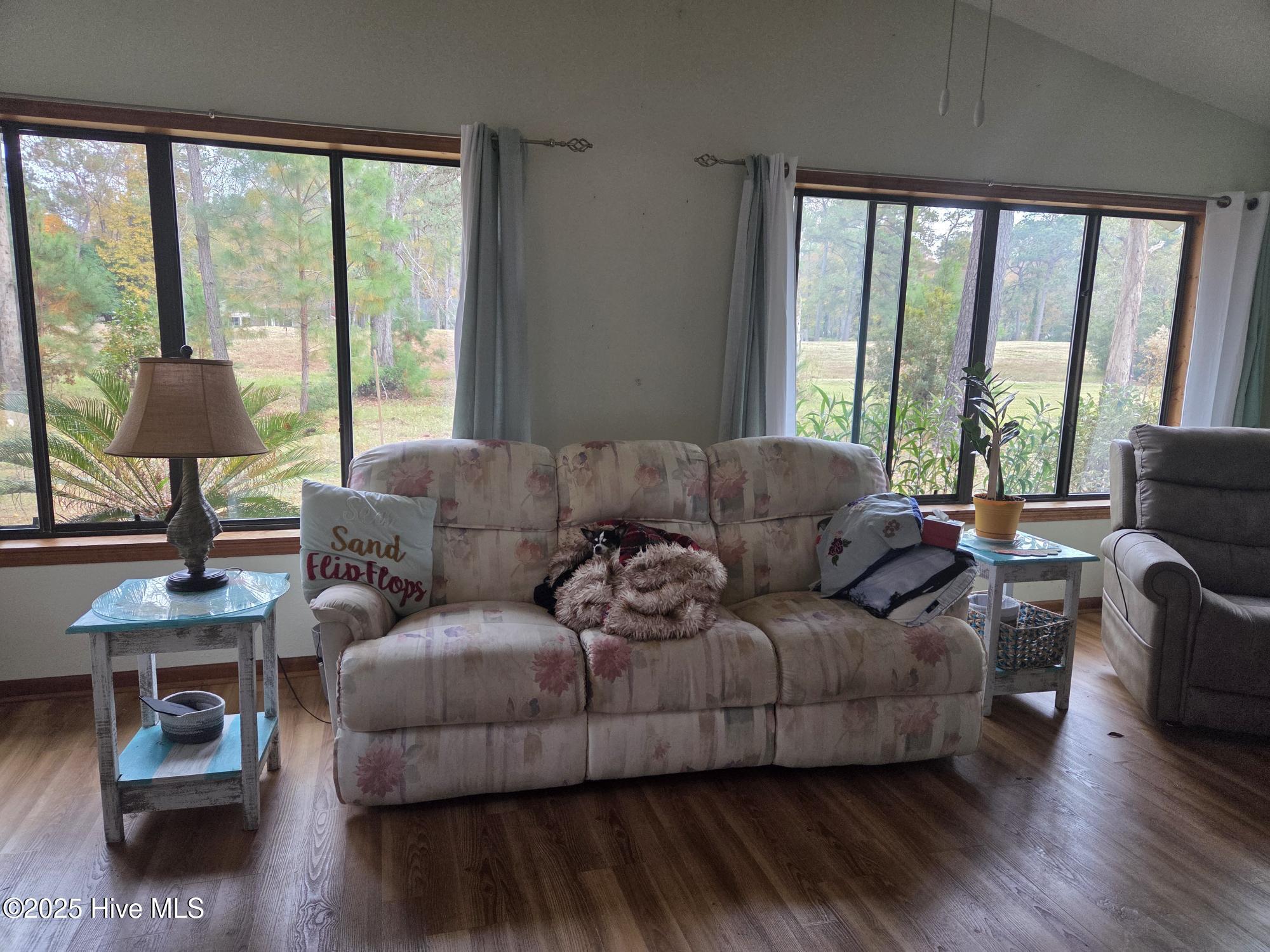 100542613 | Photo 13