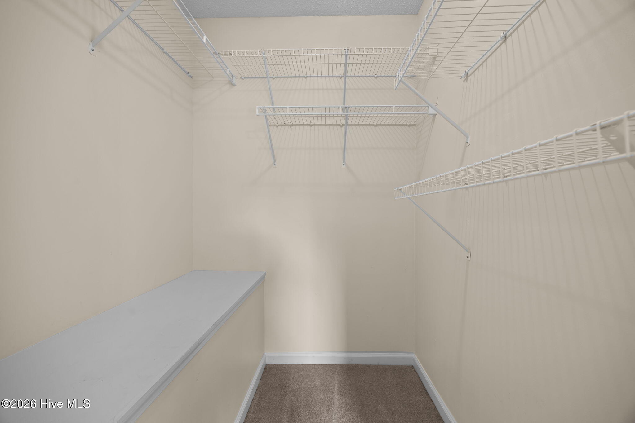 100549500 | Photo 32